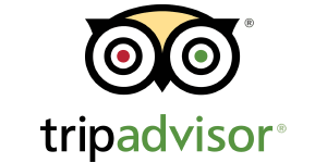 tripadvisor-logo-plataforma.png